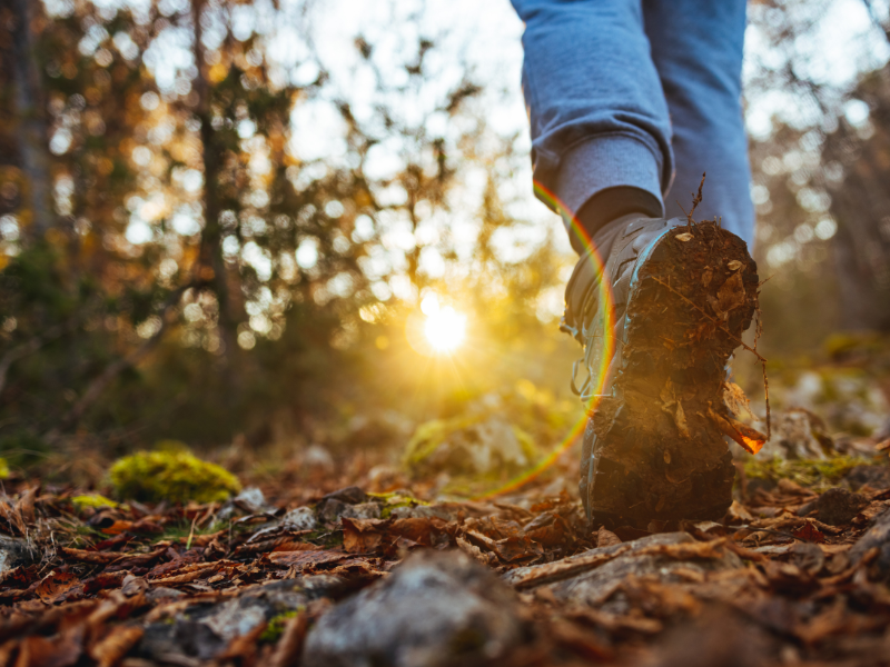 Toenail Care for Long-Distance Walking: How to Prevent Pain and Nail Damage