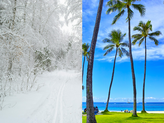 Should You Change Your Shaving Routine in Hot vs Cold Climates? Tips to Prevent Skin Problems