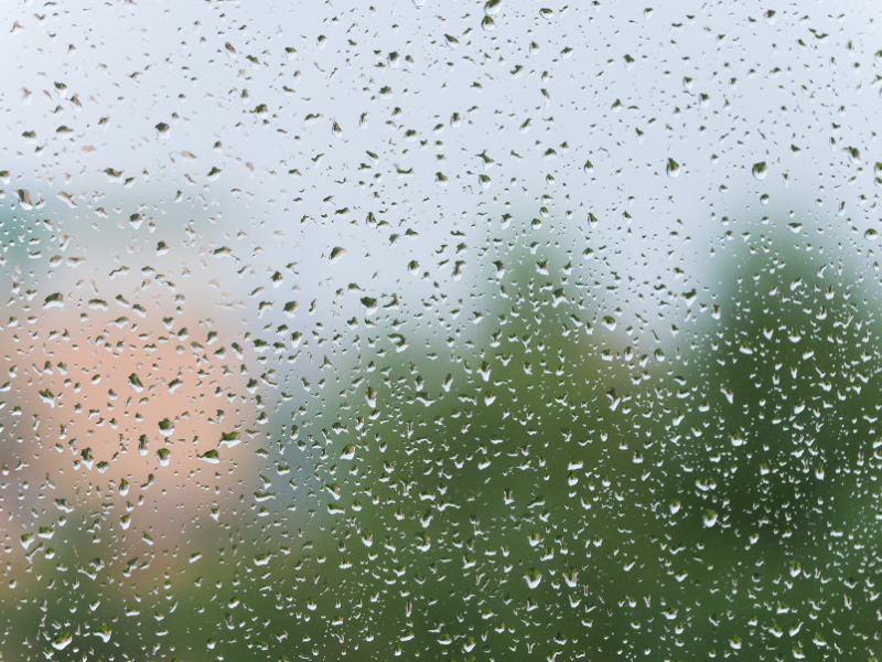 How to Shave in Humid Weather: Tips to Prevent Razor Burn, Breakouts, and Skin Irritation