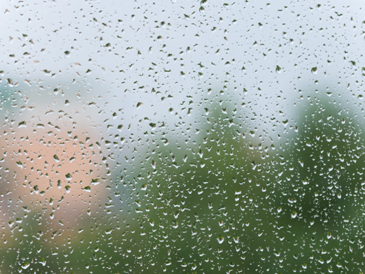 How to Shave in Humid Weather: Tips to Prevent Razor Burn, Breakouts, and Skin Irritation