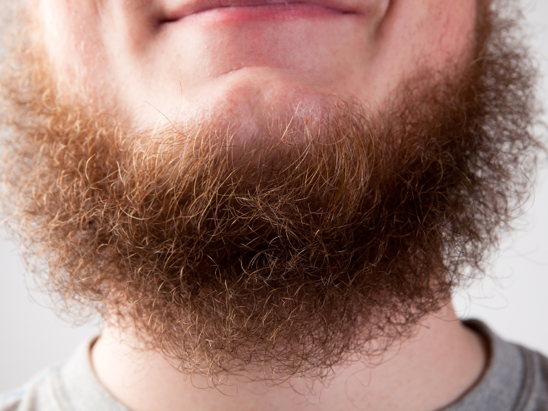 Why Doesn’t a Smooth Shave Last All Day?