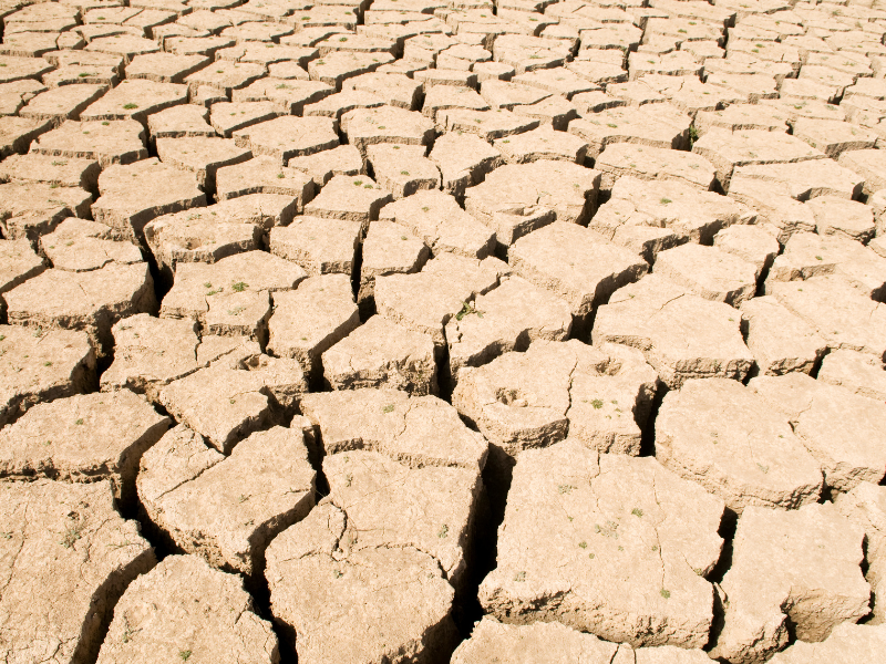 Why Does My Skin Feel Dry Only During Winter After Shaving?