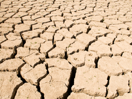 Why Does My Skin Feel Dry Only During Winter After Shaving?